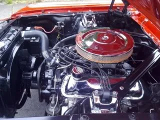 mustang6.webp
