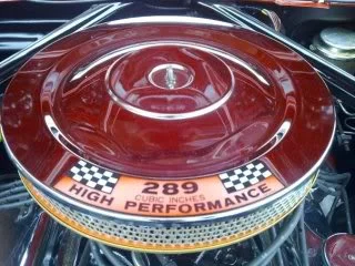 mustang7.webp