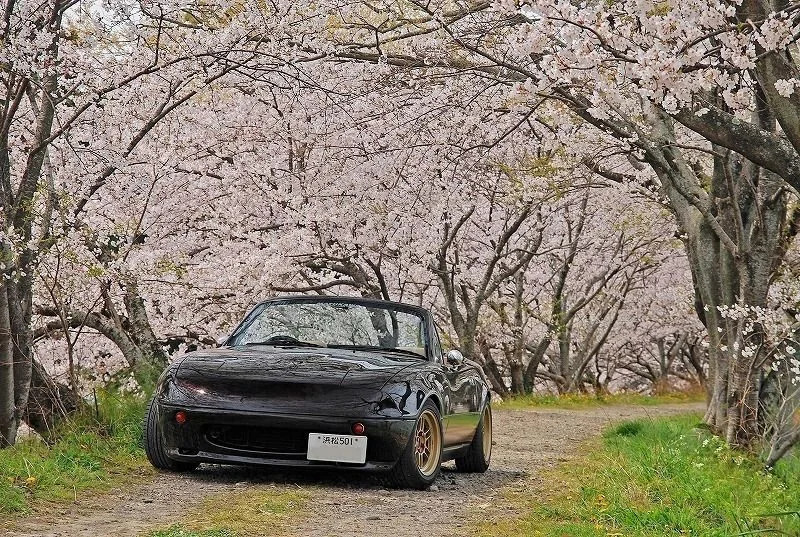 MX5+purple+RS+Factory+bumper.2.webp