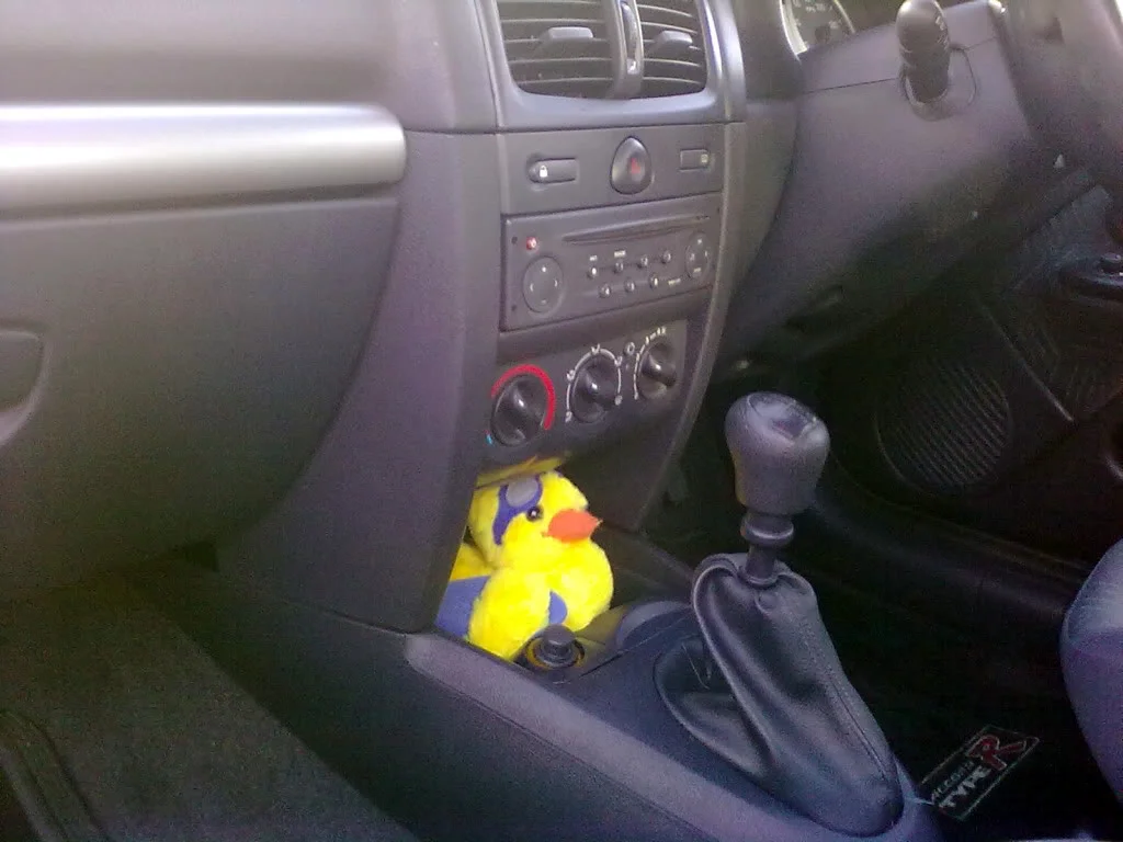 Myduckenjoyinghiscleanbed.webp