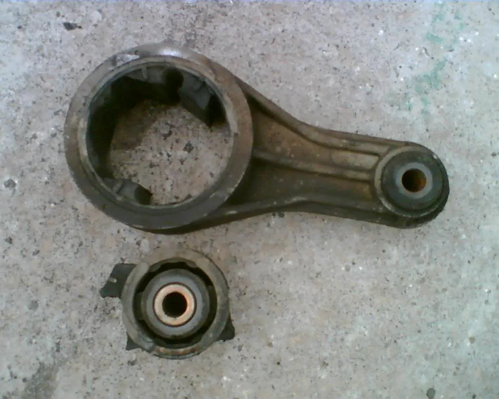 MyOlddogbone.webp