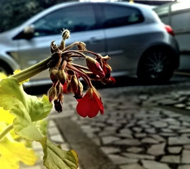 n778538634_1230117_6679.webp
