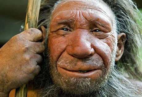 Neanderthal.webp