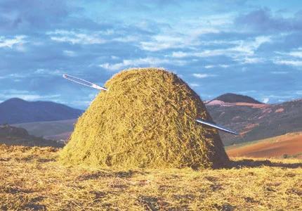 needleinahaystack.webp