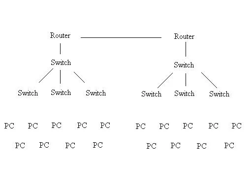 network1.webp