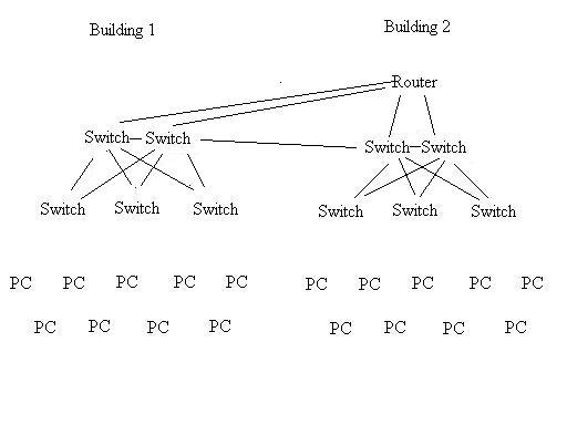 network2.jpg