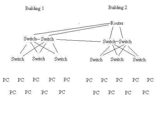 network2.webp