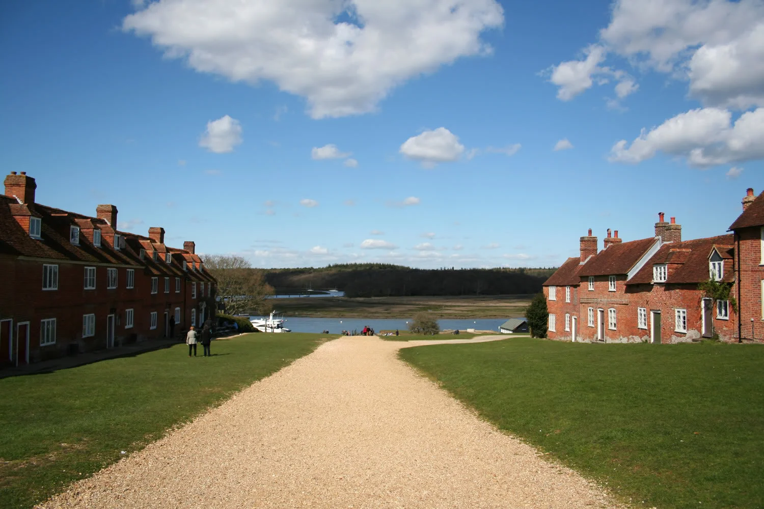 newforest10.webp