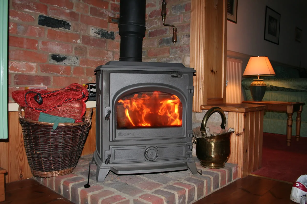 newforest3.webp