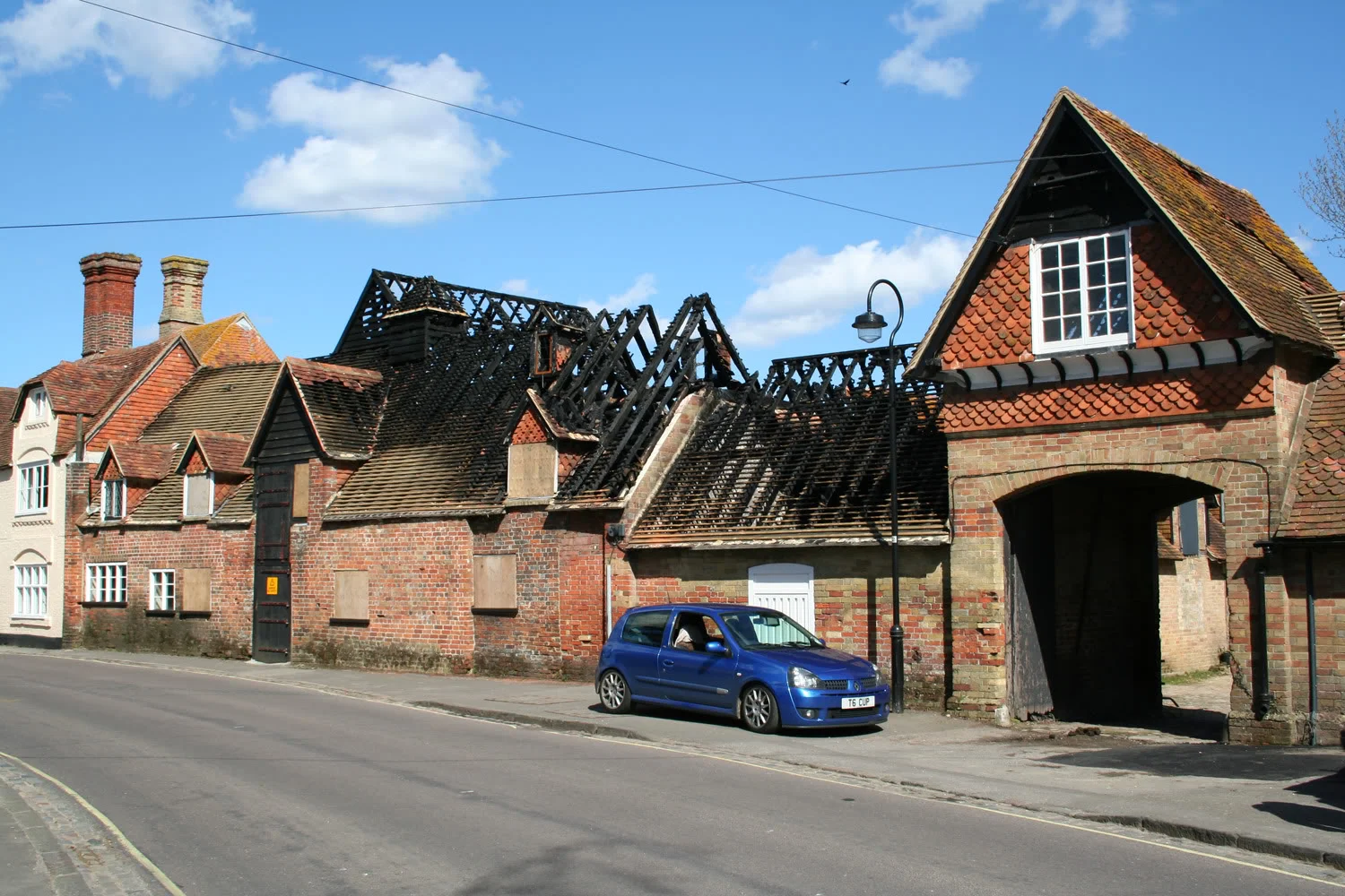 newforest4.webp