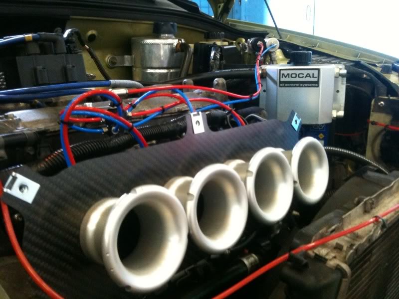 NewImage5.jpg NewImage5.jpg