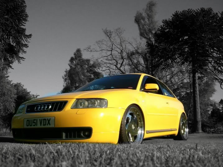 newwheels-1.jpg