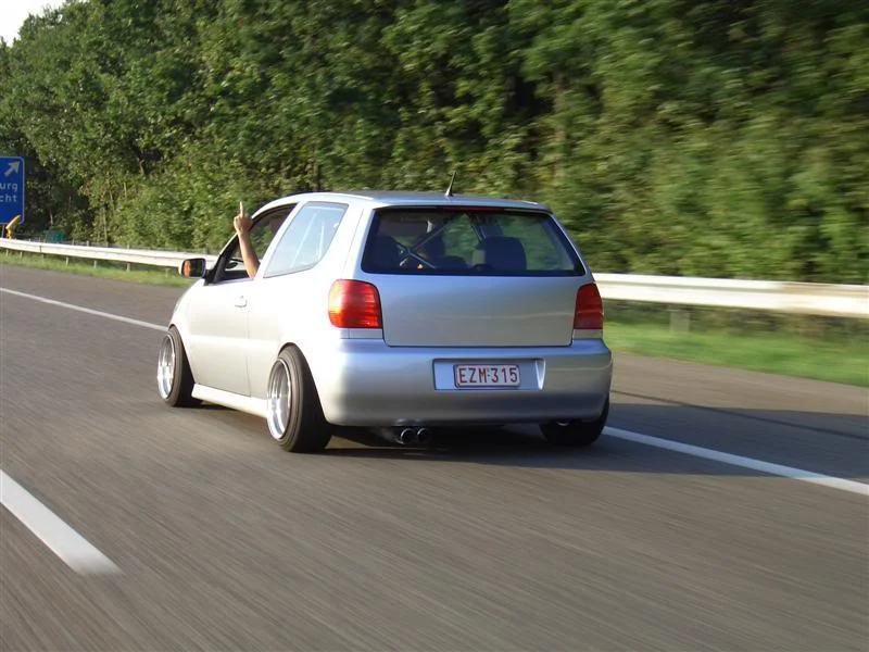 nicePolo.webp