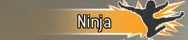 Ninja.webp