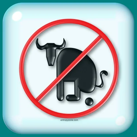 no_bullshit.webp