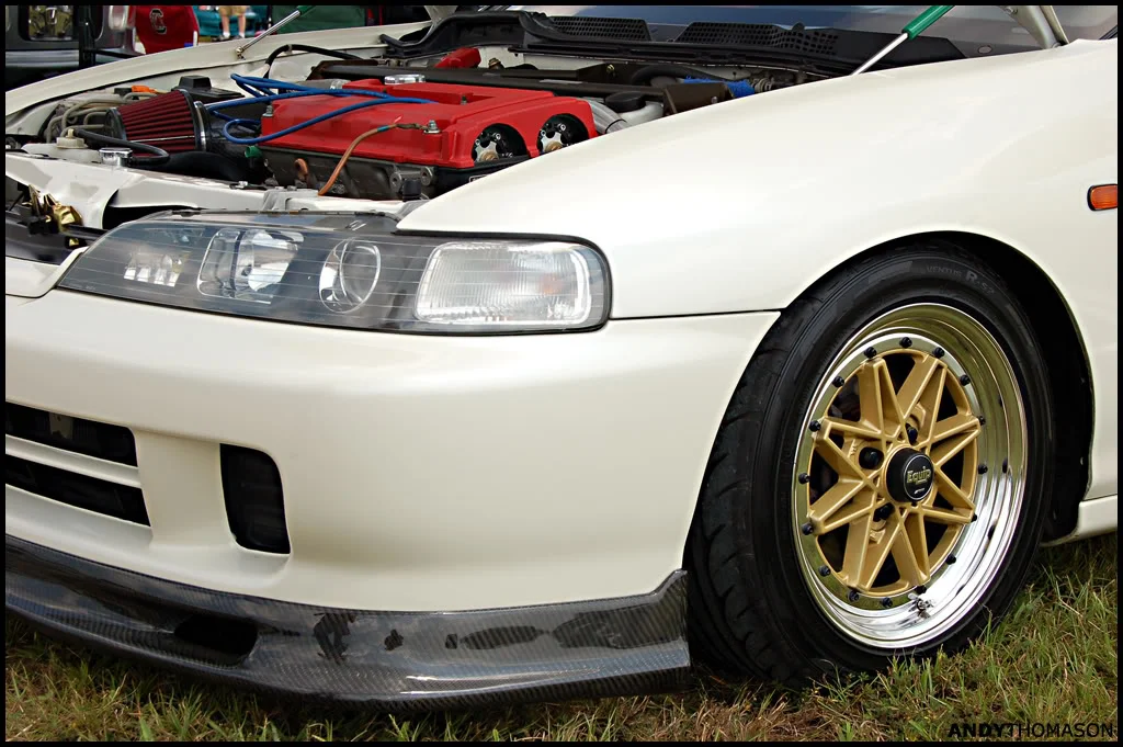 Nopi0293edited.webp