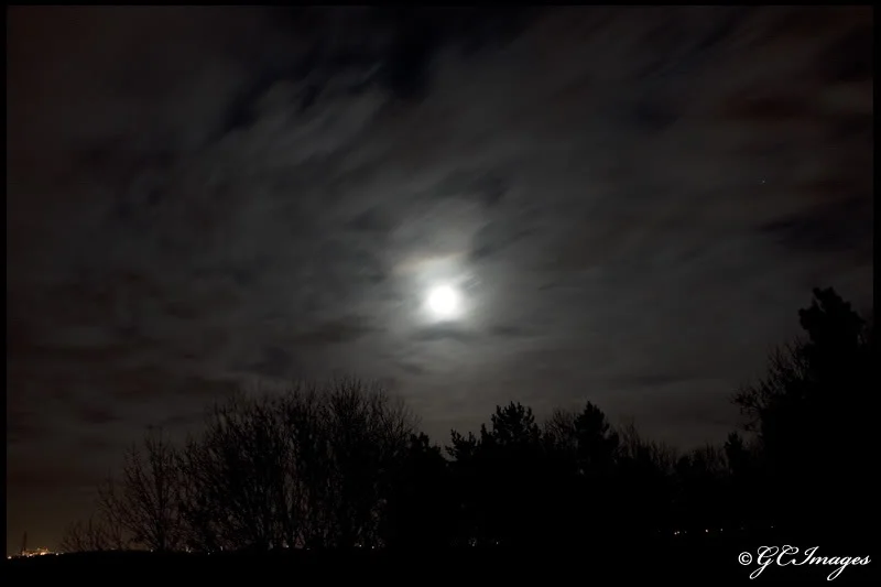 NorthernMoon.webp