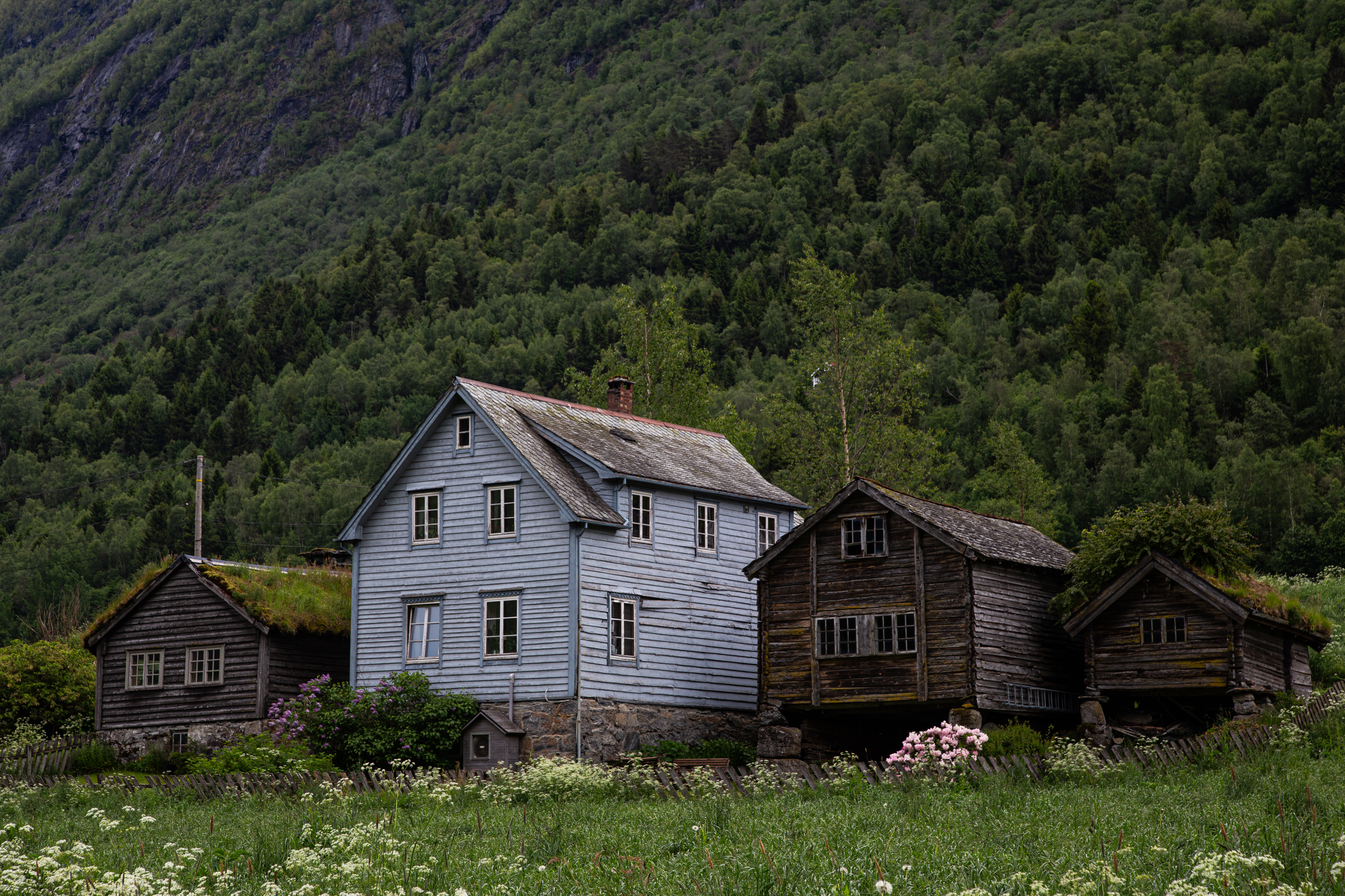 Norway (16 of 25).jpg