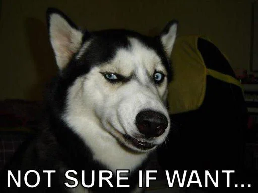 notsureifwantdog.webp