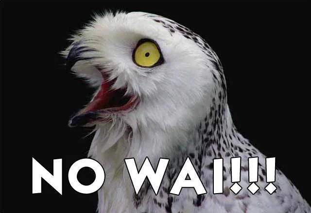 nowai.webp