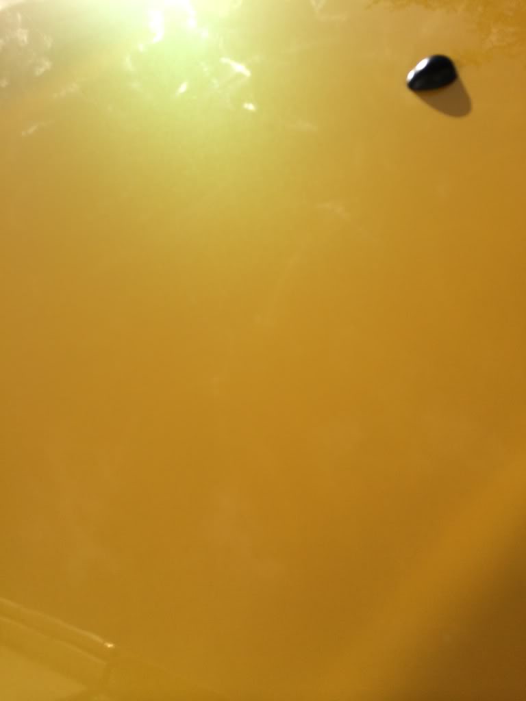 null_zps089b0744.jpg