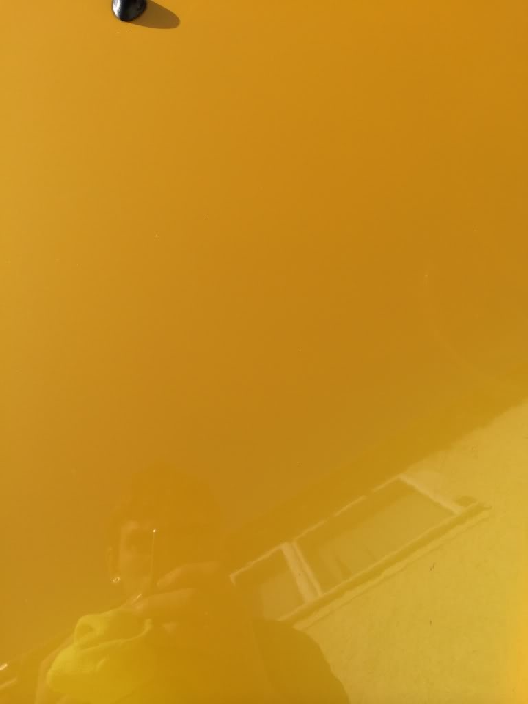 null_zps5cbb38da.jpg