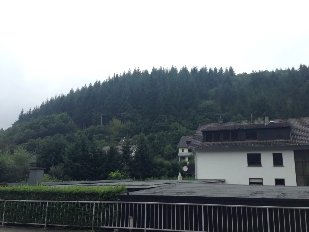 null_zpsd93a6a17.webp