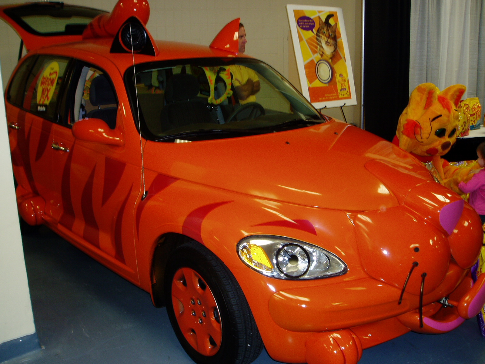 ny-orange-cat-car.jpg