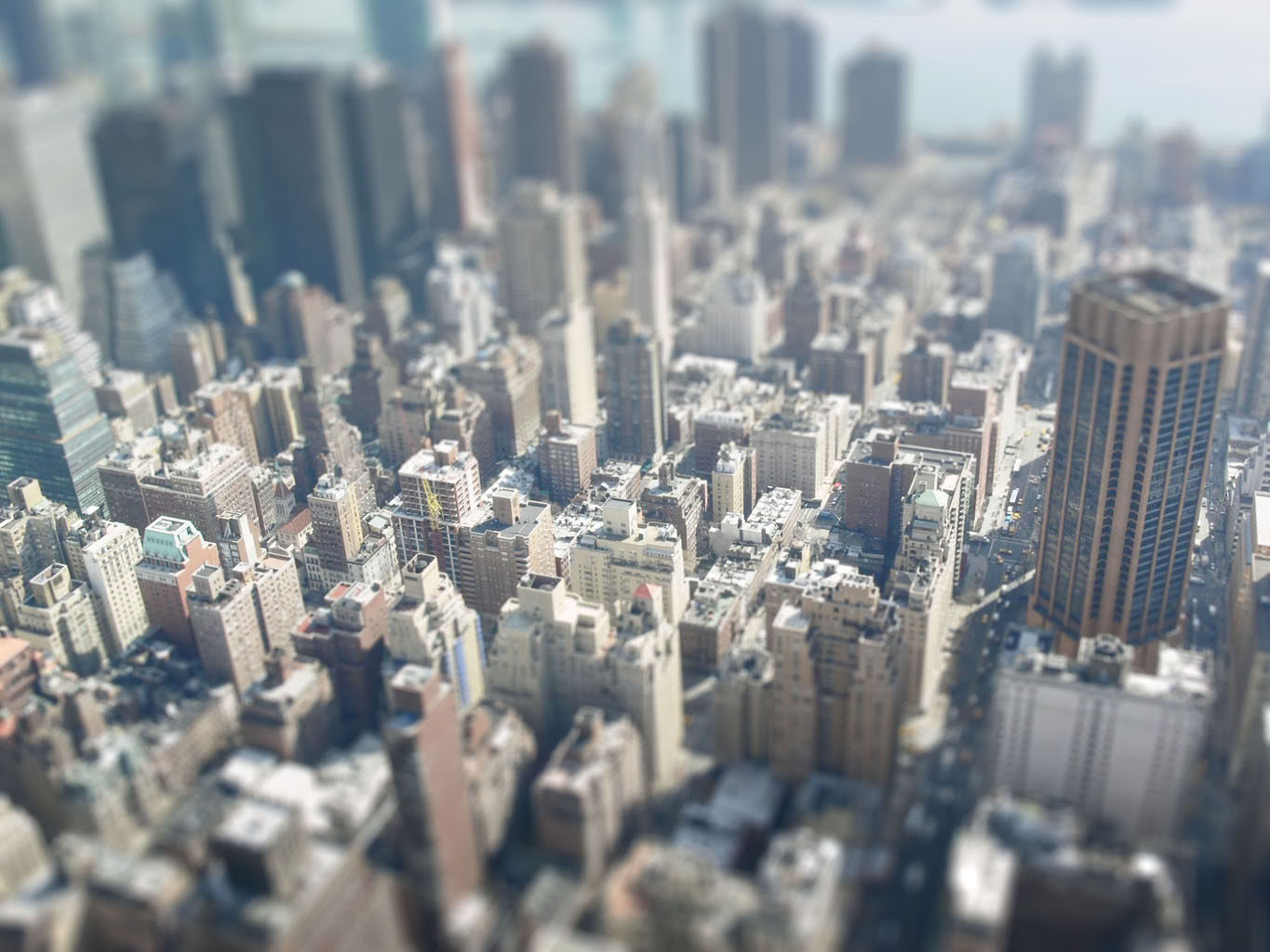 ny2modelresize.jpg