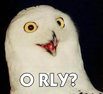 o_rly_owl.webp