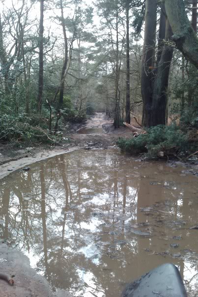 offroad.jpg