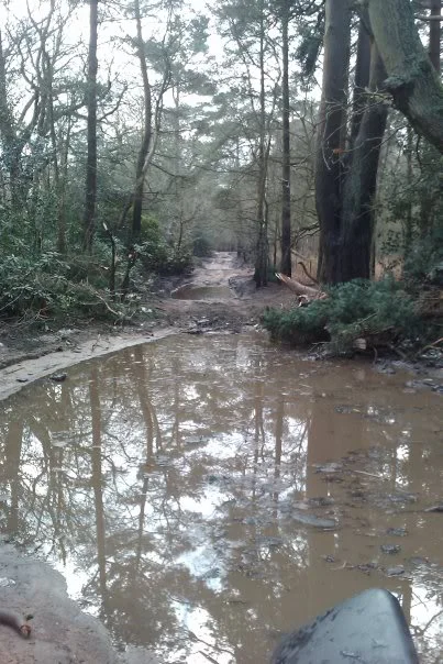 offroad.webp