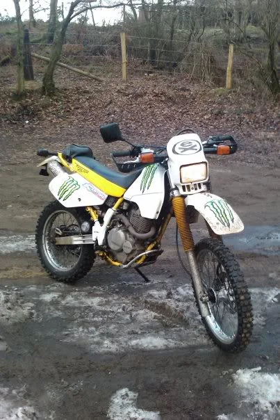 offroad2.webp
