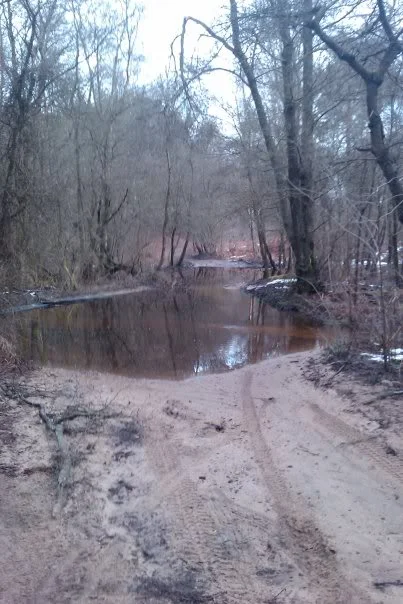 offroad3.webp