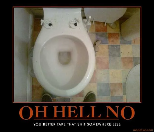 oh-hell-no-toilet-funny-poop-demotivational-poster-1284074784.webp