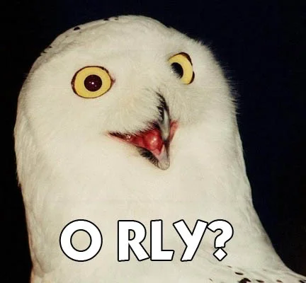 oh_rly.webp