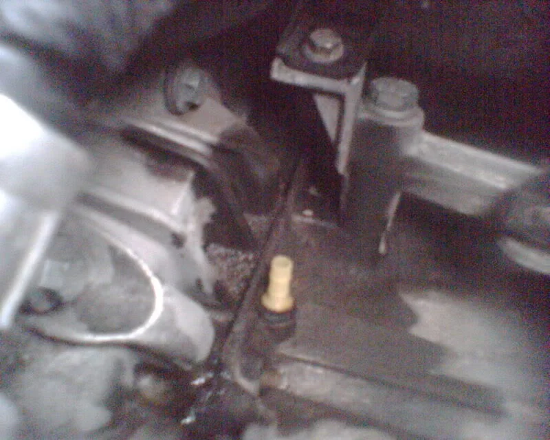 Oil.webp