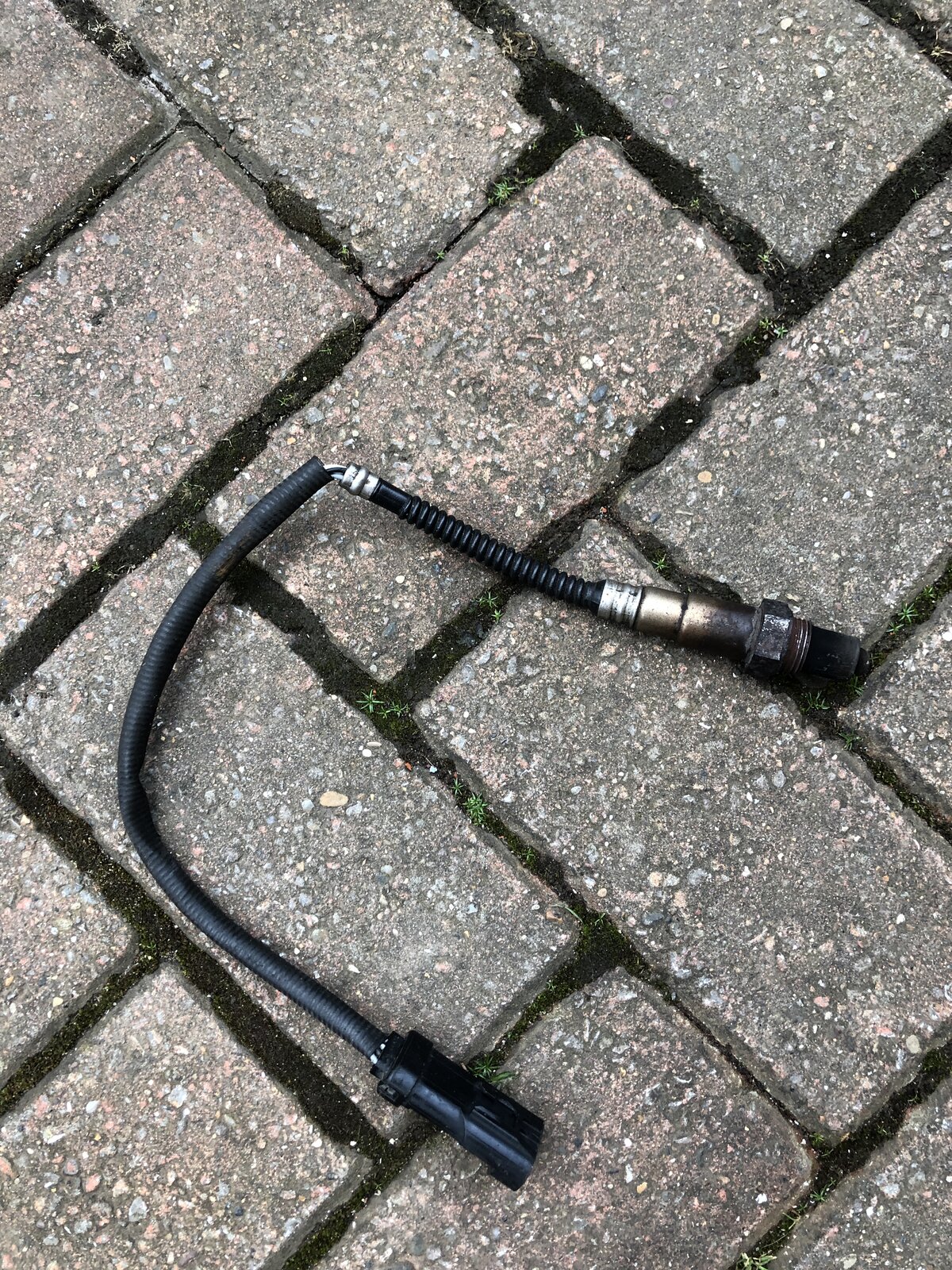 Old clio sensor.JPG