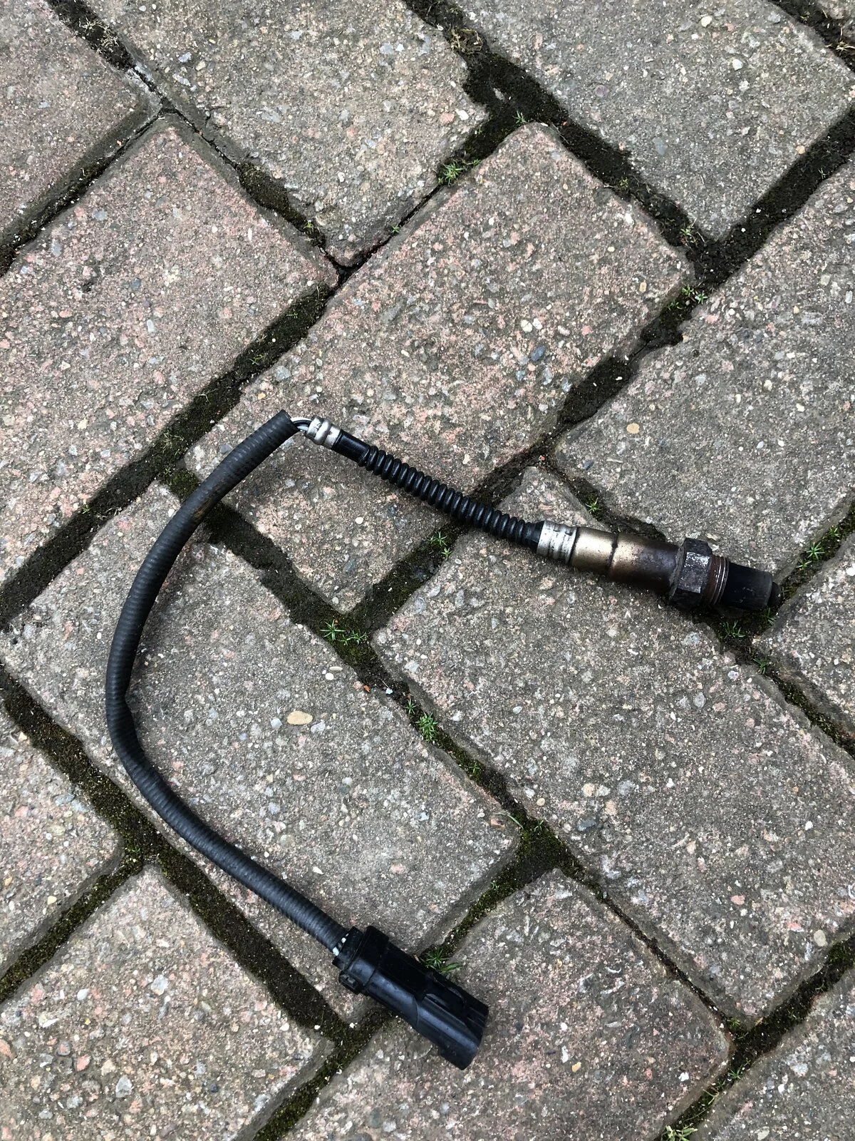 Old clio sensor.webp