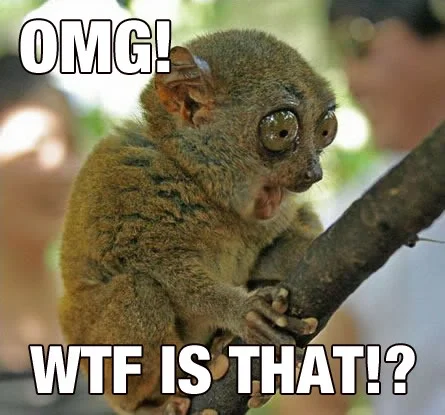 OMGWTF.webp