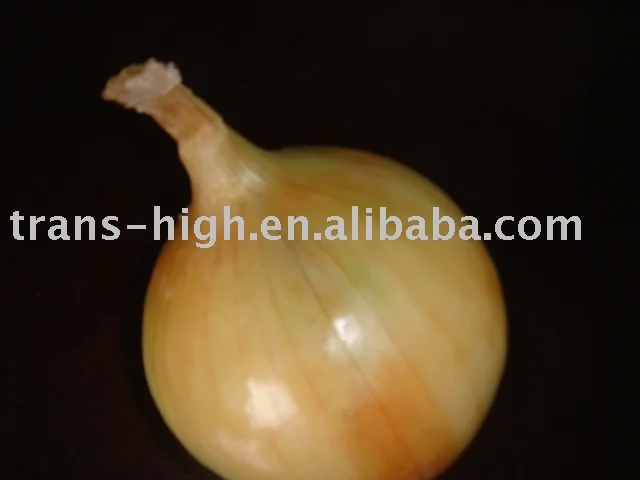 Onions.webp