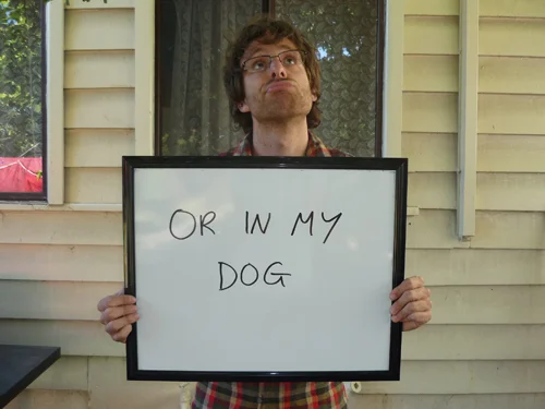 Or-In-My-Dog1.webp