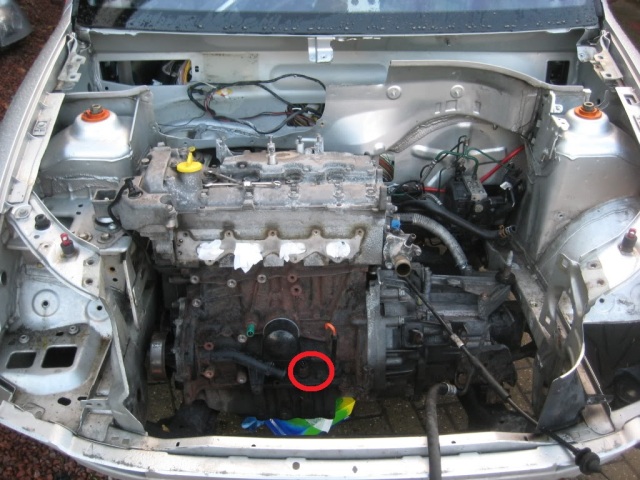 or8a6d.jpg