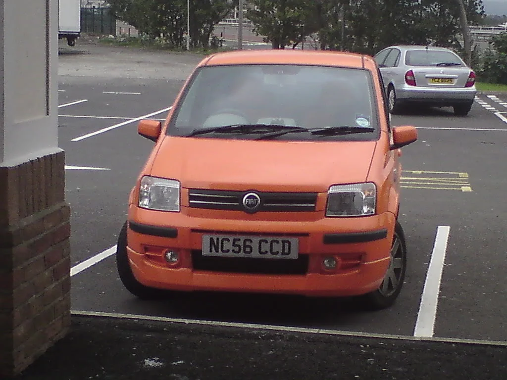 OrangePanda.webp