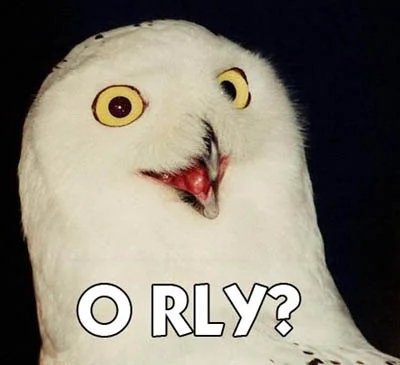 orly_owl.webp
