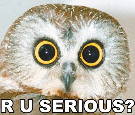 orly_serious.webp