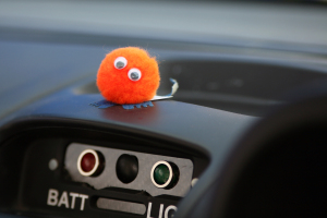 our-mascott.jpg our-mascott.jpg