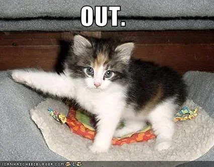 Out.webp