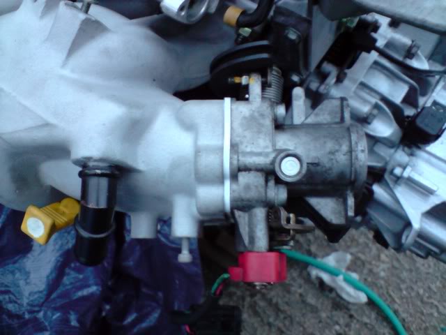 P030508_202001.jpg P030508_202001.jpg