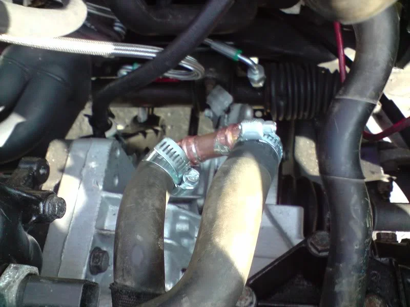 P030610_1751.webp
